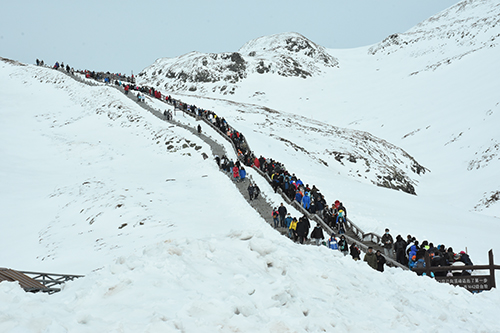 公司西景區(qū)各部門迎戰(zhàn)“五一”假期旅游高峰